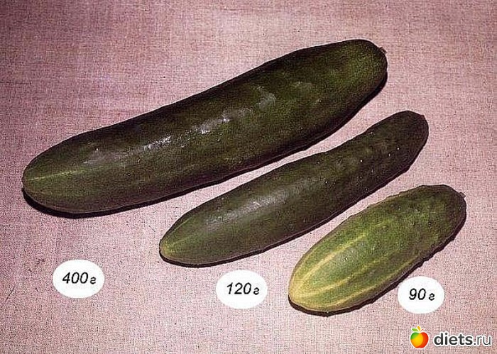 13 ����: ������������� � ������