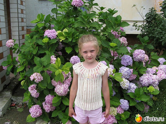 14 фото: моё вязание