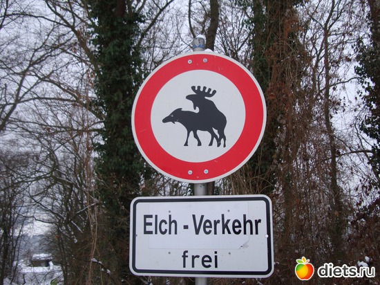 9 фото: Наши окрестности