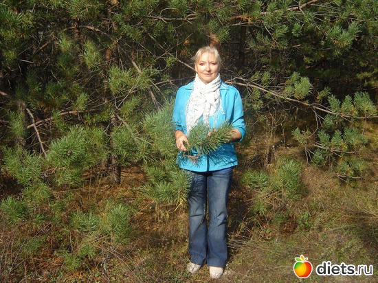 13 ����: ��� �