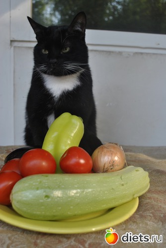 3 ����: ��� ����)))