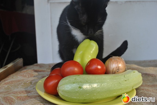 4 ����: ��� ����)))