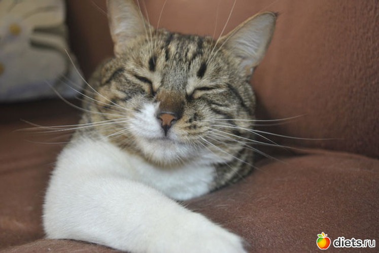 5 ����: ��� ����)))