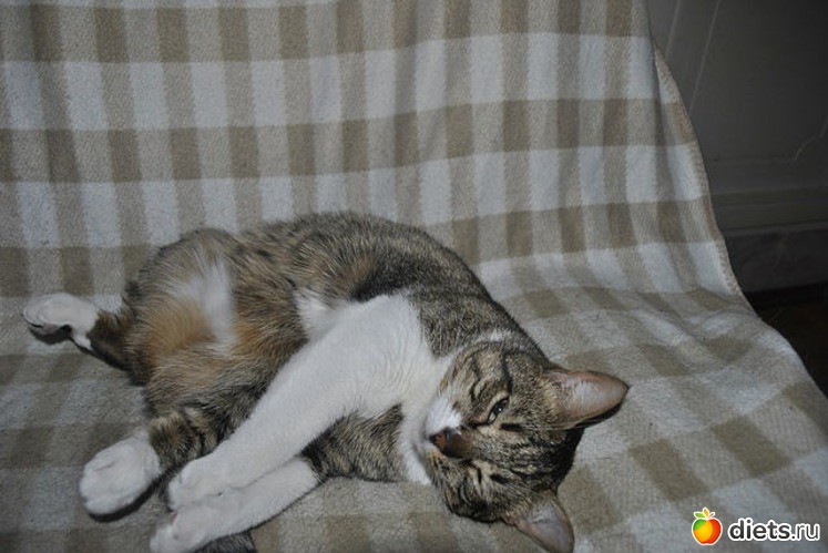 6 ����: ��� ����)))