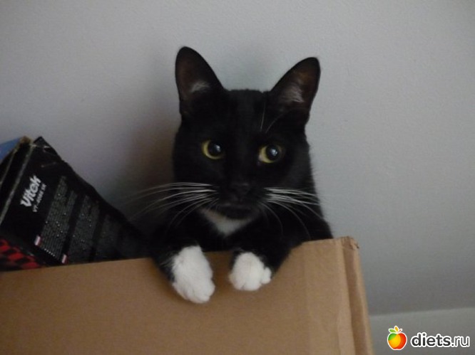 7 ����: ��� ����)))