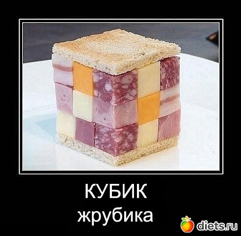 ���o��������