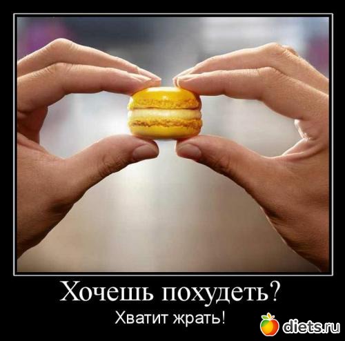 ���o��������