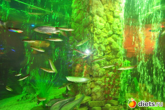 ����������., ������: ������������� ����������. 11.01.2012