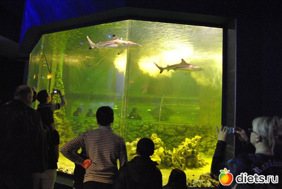 ����� � ����., ������: ������������� ����������. 11.01.2012