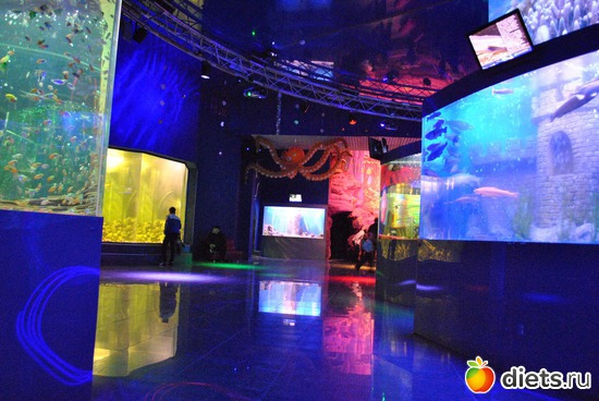 ���������., ������: ������������� ����������. 11.01.2012