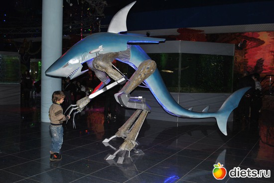 �������))), ������: ������������� ����������. 11.01.2012