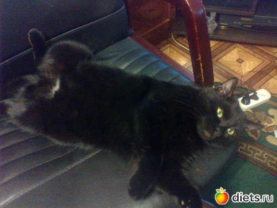 � � ������ ����� �����, ������: ����