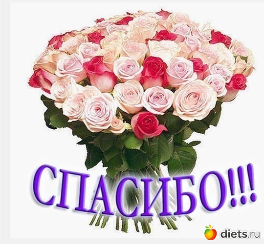 23 фото: Мой альбомчик