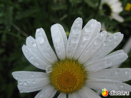 5 ����: ����������� � �� ������ ������ ����)