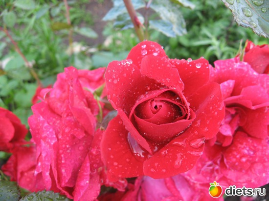 6 ����: ����������� � �� ������ ������ ����)