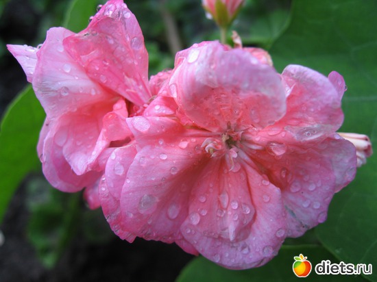 12 ����: ����������� � �� ������ ������ ����)