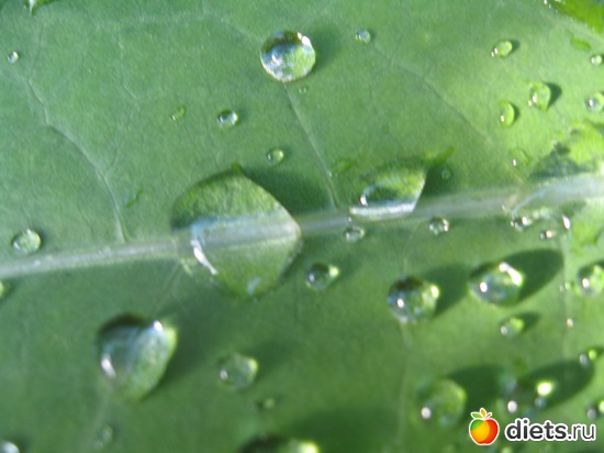 13 ����: ����������� � �� ������ ������ ����)