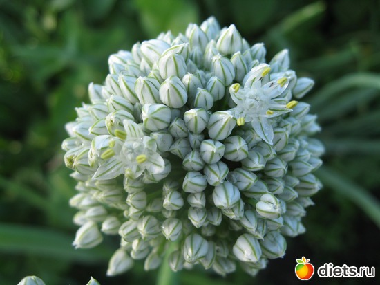 14 ����: ����������� � �� ������ ������ ����)