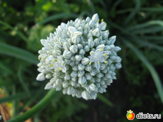 15 ����: ����������� � �� ������ ������ ����)