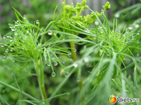 18 ����: ����������� � �� ������ ������ ����)