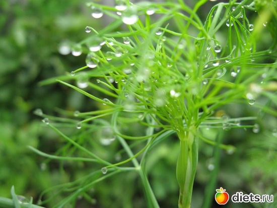 19 ����: ����������� � �� ������ ������ ����)