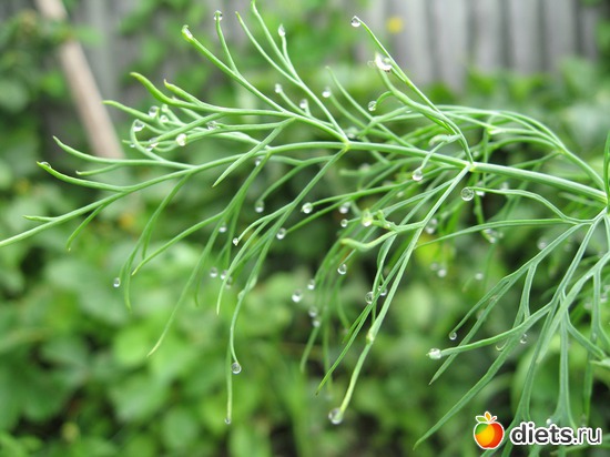 20 ����: ����������� � �� ������ ������ ����)