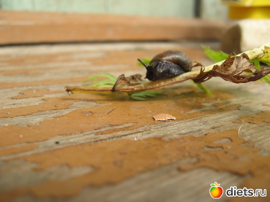 22 ����: ����������� � �� ������ ������ ����)