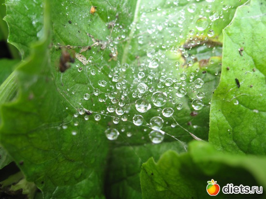 23 ����: ����������� � �� ������ ������ ����)