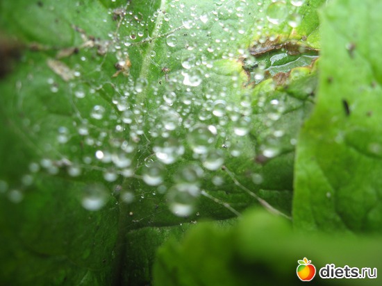 24 ����: ����������� � �� ������ ������ ����)