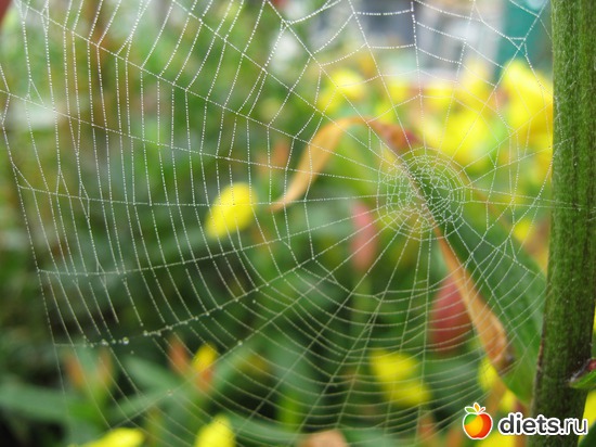 27 ����: ����������� � �� ������ ������ ����)