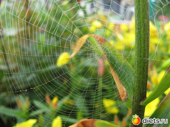 28 ����: ����������� � �� ������ ������ ����)