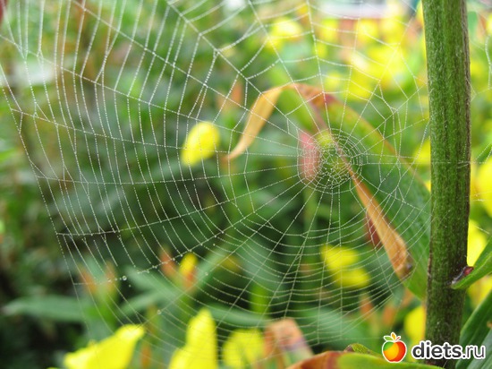 29 ����: ����������� � �� ������ ������ ����)