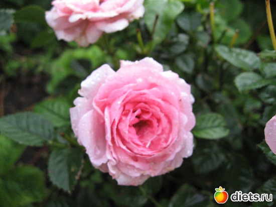 30 ����: ����������� � �� ������ ������ ����)