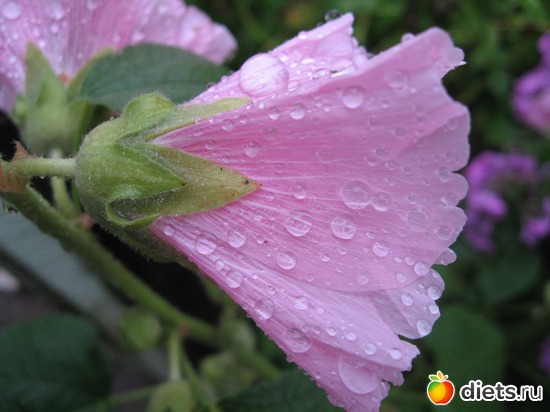 32 ����: ����������� � �� ������ ������ ����)