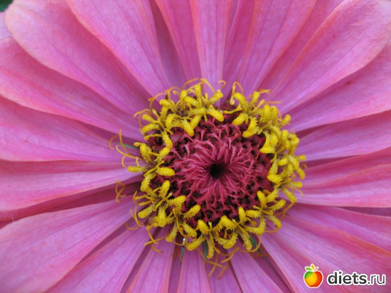 33 ����: ����������� � �� ������ ������ ����)