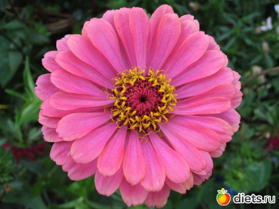 34 ����: ����������� � �� ������ ������ ����)