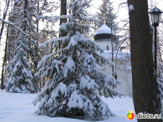 3 ����: �������, ������ ����) ����