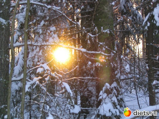 4 ����: �������, ������ ����) ����