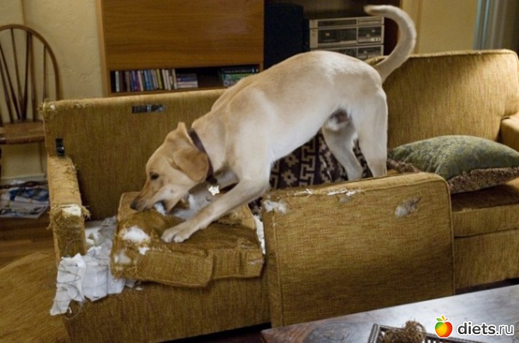 58 ����: ������ �����,������ �� �����.