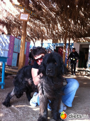 1 фото: Израиль 2012