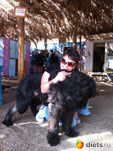 2 фото: Израиль 2012