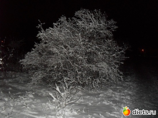 4 ����: 15/01/12