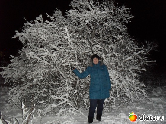 5 ����: 15/01/12