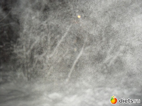 11 ����: 15/01/12