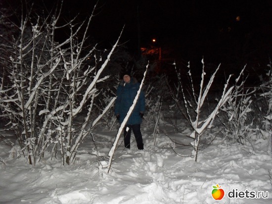 12 ����: 15/01/12