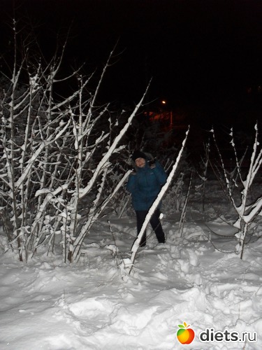 13 ����: 15/01/12