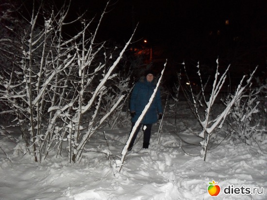 14 ����: 15/01/12