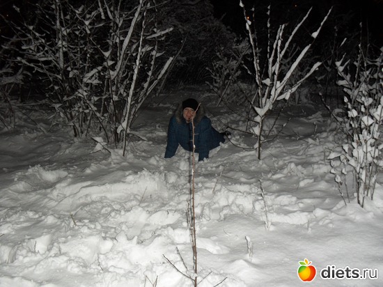 17 ����: 15/01/12