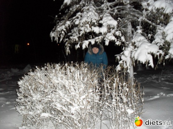 40 ����: 15/01/12