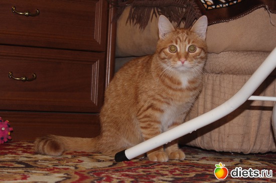 �� ������, ����� � �����, ������: ��� ������� ��������